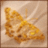 kanmenpatsuka's profile image