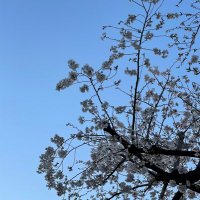 sky (@pttmp) Twitter profile photo