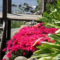 Castlehaven IoW (@castlehaven_iow) 's Twitter Profile