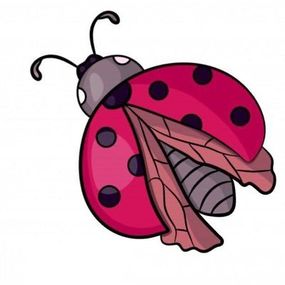 CannotCodeorg's profile picture. For people who cannot code, Don't worry, We made an Exception.