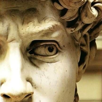 metaovix's profile picture. Contra la paranoia y la posverdad.