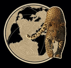 GlobalLeopard's profile picture. The Global Leopard Project is concerned with the protection of all leopards of the world with a focus on the African leopard.