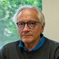 Pepe Fernández (@pepefdezr) 's Twitter Profile