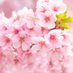 yuri-sho-3🌸🌸📛 (@3yurinohana) Twitter profile photo yuri-sho-3🌸🌸📛 (@3yurinohana) Twitter profile photo