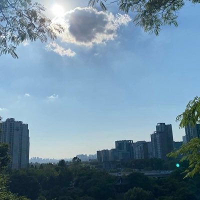 noviadejeongin_'s profile picture. 