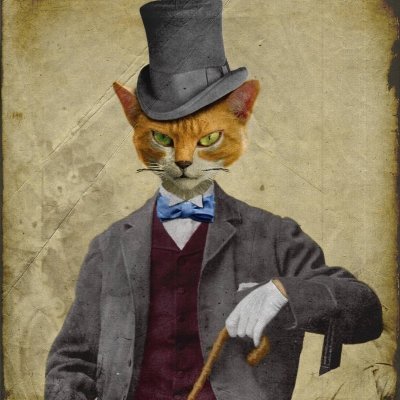 MinThu90849941's profile picture. 