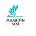 Maarifin Sesi (@MaarifinSesi) Twitter profile photo