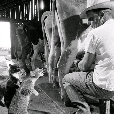 collins_okuto's profile picture. 