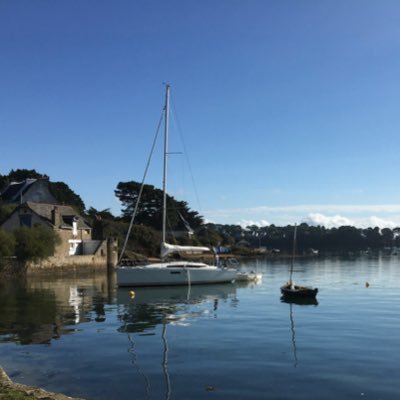 suzieinmorbihan's profile picture. Detest hypocrisy.  Love all animals but dogs have a special place.  Europhile. Former Labour supporter now politically estranged.