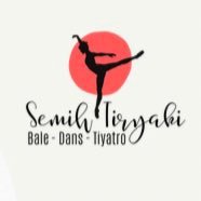 Semih Tiryaki (@_semihtiryaki_) 's Twitter Profile Photo