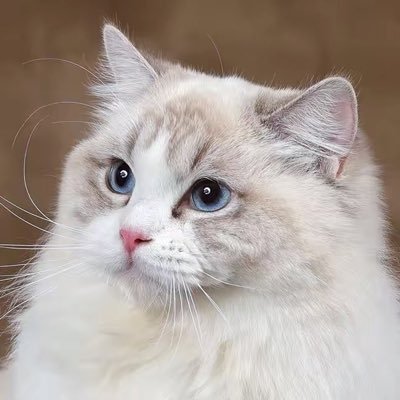 jevenmieer's profile picture. Happy Baby!