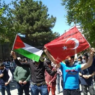 MKaramermer's profile picture. 