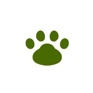 素朴に感じる事。基本的にポジティブ。波動、医療、薬、サイエンス、ケミカル、DIY、水分制限、コーヒーよりは紅茶派、美味しい物 などなど 多発性嚢胞腎、2020年6月より透析開始/