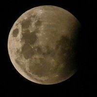 Abadi Abdullah (@abadi54321) 's Twitter Profile