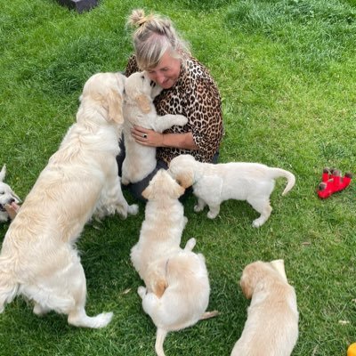 mildredsmansion's profile picture. De tripstick bepaalt de richting.