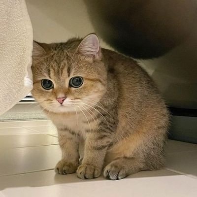 joannazk's profile picture. 