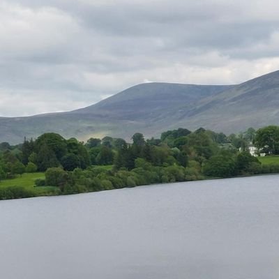 JohnLen24213077's profile picture. 