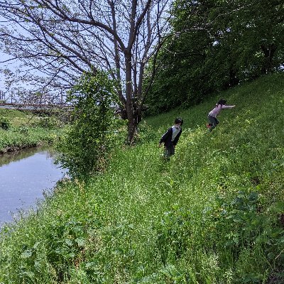 kamegu3's profile picture. 京都在住のエンジニアです。Scala奮闘中。JavaとPHPもやってました。あとはマラソン好き（実際に走る方）。