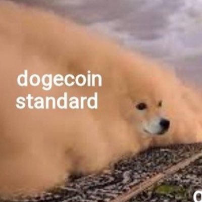 Sharing available #Dogecoin news and #Dogecoin's network effect. Share other protocols as well. Please do your own research | No financial advice here.