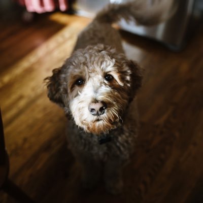 jwm_1315's profile picture. 