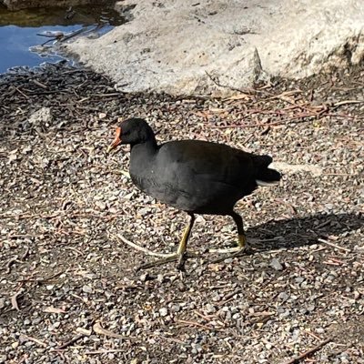 trinhFelix's profile picture. 