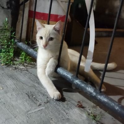 baron13th's profile picture. Just be fun