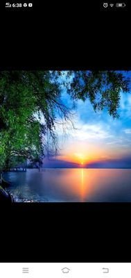 RanaSha45537958's profile picture. 