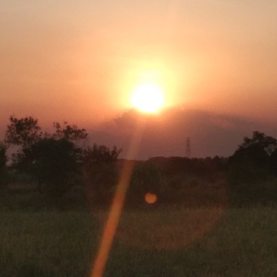 InlabT's profile picture. Confused as fuck