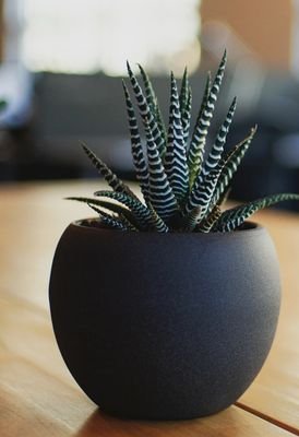 SayakMo83477820's profile picture. I'm a student