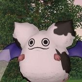 どらねこさんのプロフィール画像