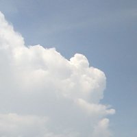 Marinong tigang (@altercruise) 's Twitter Profile