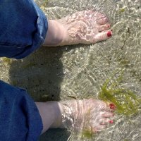 GettingMyFeetWet ♀️ 🧙‍♀️ 💚🤍💜(@Karryanne74) 's Twitter Profile Photo