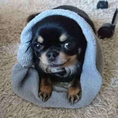 Uberdemaemenu's profile picture. キャッシュバック実績100名様以上。都内港区在住。
▼ウーバー紹介コード😄(WXWISG)▼出前館紹介コード😃(krac24af)▼menu紹介コード😁(ARM832)※半額キャッシュバック。銀行振込します。振込手数料こちら負担です。
#ウーバーイーツ #UberEats #出前館