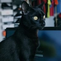 birdmahnr's profile picture. Woman Loving Woman (WLW) | Queer | nonconformist |