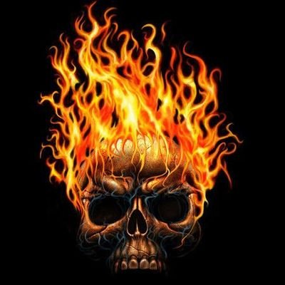 TheoChauchard's profile picture. 