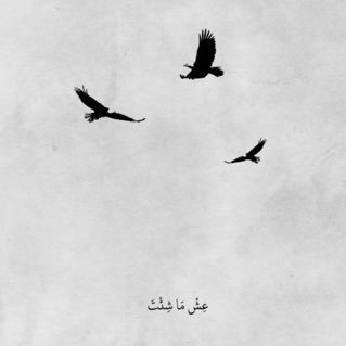 reem_alkhoraish's profile picture. Palestinian translator and EFL lecturer..🇵🇸 Translation MA holder from @kkueduksa Interested in Scientific, Medical and Media translations 🌐