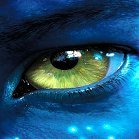 ozkanaltindag's profile picture. 