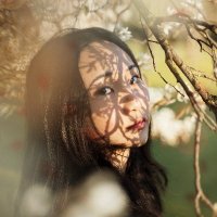 Le Dieu Linh (@ledieulinh18) 's Twitter Profile