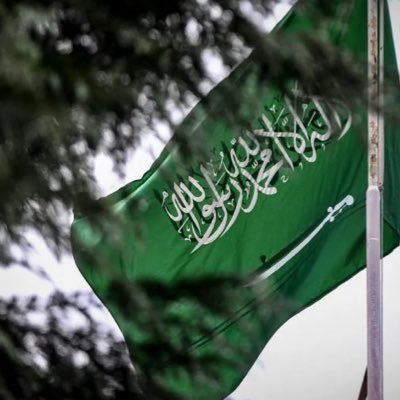 دكتوراه مناهج وطرق تدريس/ مهتمة ب قضايا التعليم،و البحث العلمي