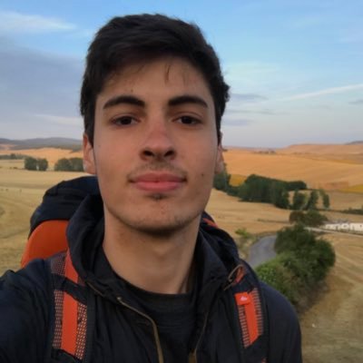 Physics PhD student @ Sapienza University of Rome. (He/Him)