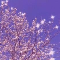 Blog1Nur's profile picture. 💜