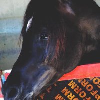 Top alain (@3xtbys09h3mcwcr) Twitter profile photo