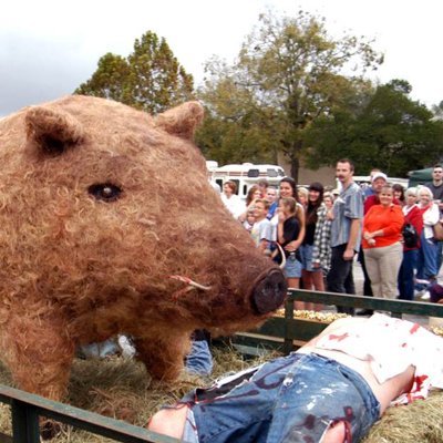 🏴‍☠️MILITANT HOG FAN🐗. KC ROYALS 👑
FUCK GREG SANKEY AND FUCK THE NCAA.