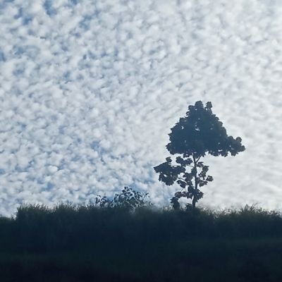 Mantenha seus pés no chão quando sua cabeça estiver nas nuvens.