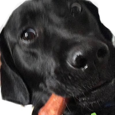 I’m a French investor in crypto currencies and I decided to create this Twitter account to share all my findings about the most promising crypto gems.