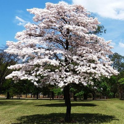 Gerontologia, a ciência que estuda o envelhecimento. Um novo olhar sobre o envelhecimento.