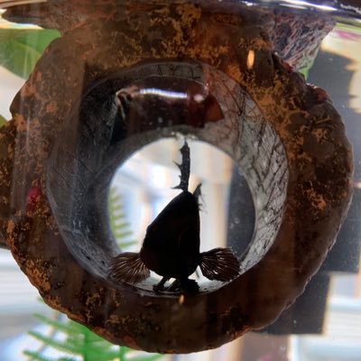 LetunicMaria's profile picture. 