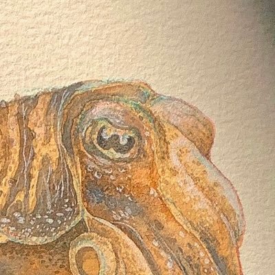 CREART ✧˖°さんのプロフィール画像
