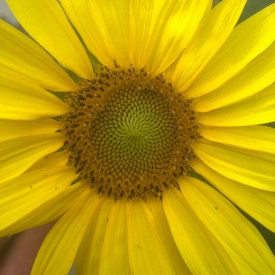 _party_of_five's profile picture. 