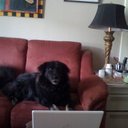 Sheila Hailey - @sheilahailey - Twitter